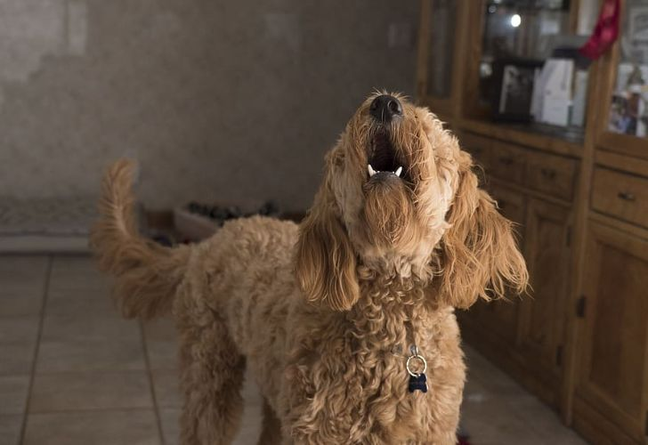 New Homeowner Smells Something Strange In Their House’s Vents